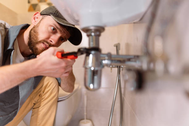 Best Residential Plumbing Services  in Demopolis, AL
