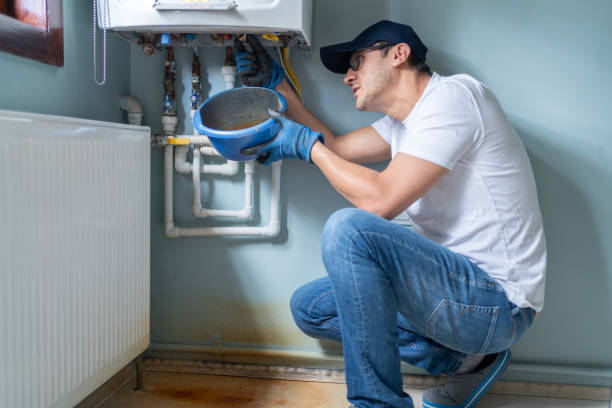 Best Sprinkler Systems  in Demopolis, AL