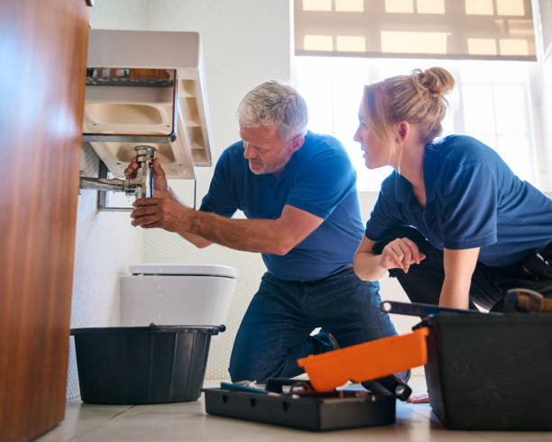 Best Sewer Line Repair  in Demopolis, AL